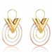 Louis Vuitton Essential V Earrings BB M00188