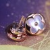 Louis Vuitton Color Blossom Sun Ear Stud Q96425