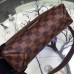 Louis Vuitton District PM Bag Damier Ebene N41213