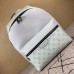 Louis Vuitton Discovery Backpack Taigarama Antarctica M30232