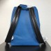Louis Vuitton Apollo Backpack Taiga Leather M33453