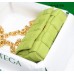 Bottega Veneta Chain Cassette Bag In Kiwi Suede