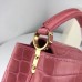 Louis Vuitton Capucines Mini Crocodile Bag N95003