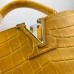 Louis Vuitton Capucines Mini Crocodile Bag N93429