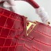 Louis Vuitton Capucines Mini Crocodile Bag N93254