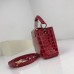 Louis Vuitton Capucines Mini Crocodile Bag N93254