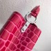 Louis Vuitton Capucines Mini Crocodile Bag N93163