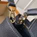 Louis Vuitton Capucines PM Bag Python Stripe N94566