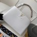 Louis Vuitton Capucines PM Bag With Python Handle N93045