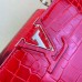 Louis Vuitton Capucines PM Crocodile Bag N96882