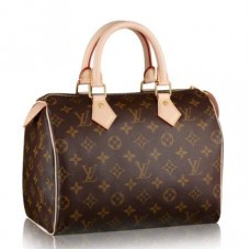 Louis Vuitton Speedy 25 Bag Monogram Canvas M41109