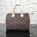 Louis Vuitton Speedy 25 Bag Monogram Canvas M41109