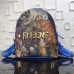 Louis Vuitton Palm Springs Backpack Masters LV X Koons M43335