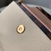 Louis Vuitton Vavin Chain Wallet Damier Ebene N60237