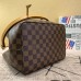 Louis Vuitton Neonoe Bag Damier Ebene N40213
