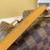 Louis Vuitton Neonoe Bag Damier Ebene N40213