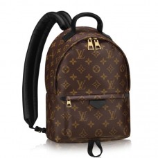 Louis Vuitton Palm Springs Backpack PM M41560