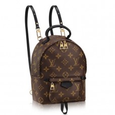 Louis Vuitton Palm Springs Mini Backpack M41562