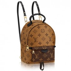 Louis Vuitton Palm Springs Backpack Mini M42411