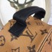 Louis Vuitton Palm Springs Backpack Mini M42411