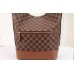 Louis Vuitton Diane Bag Damier Ebene N41544