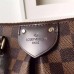Louis Vuitton Siena MM Bag Damier Ebene N41546