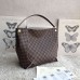 Louis Vuitton Caïssa Hobo Bag Damier Ebene N41556