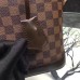 Louis Vuitton Alma PM Bag Damier Ebene N53151