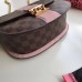 Louis Vuitton Wight Bag Damier Ebene N64418