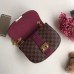 Louis Vuitton Wight Bag Damier Ebene N64420