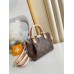 Louis Vuitton Nano Turenne Bag In Monogram Canvas M61253