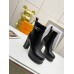 Louis Vuitton Fame Platform Ankle Boots In Black Calfskin Louis Vuitton Fame Platform Ankle Boots In Black Calfskin