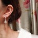 Louis Vuitton Color Blossom Long Earrings Q96668
