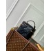 Louis Vuitton Vanity PM Bag in Puffy Lambskin M25123 Louis Vuitton Vanity PM Bag in Puffy Lambskin M25123