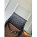 Louis Vuitton Coussin PM Bag in Matte Monogram Lambskin M11370