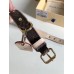 Louis Vuitton Baxter Dog Collar PM In Monogram Canvas M58072 Louis Vuitton Baxter Dog Collar PM In Monogram Canvas M58072