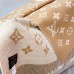 Louis Vuitton Beige Daily LV Scarf M76700