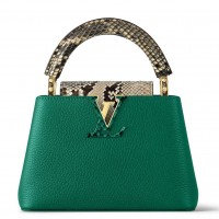 Louis Vuitton Capucines Mini Bag with Python Leather N80931 Louis Vuitton Capucines Mini Bag with Python Leather N80931