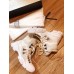 Gucci Women's White Flashtrek GG Wool Sneaker